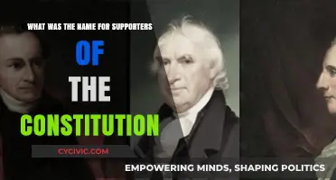 The Constitution's Supporters: A Historical Perspective