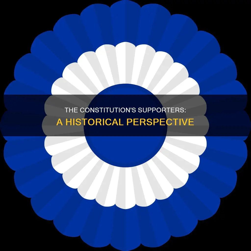 what was the name for supporters of the constitution