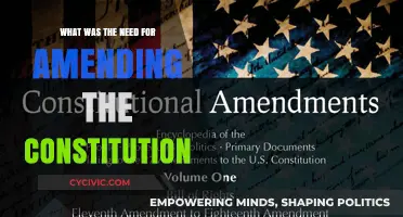 Amending the Constitution: Why and When?