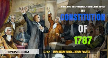 The Constitution of 1787: A Flawed Foundation?
