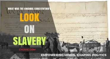 Slavery in the Constitution: A Historical Perspective