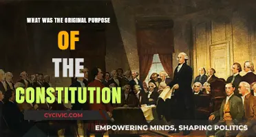 The Constitution's Original Intent: Framers' Vision