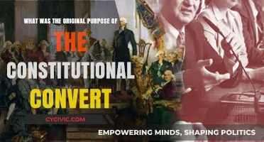 The Constitutional Convention: Original Intent and Purpose