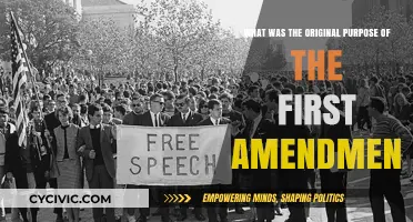 The First Amendment: Protecting Freedom of Speech and Beyond