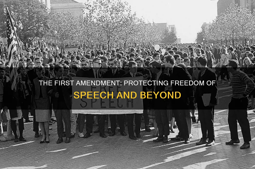 what was the original purpose of the first amendment