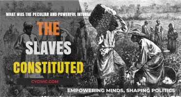 Peculiar Power: Slaves' Interests and Their Influence