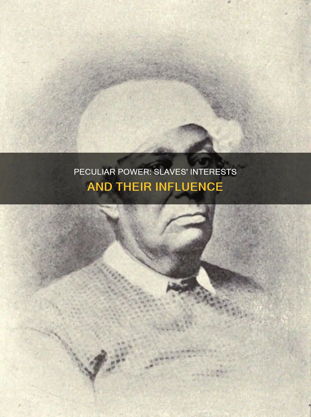 what was the peculiar and powerful interst the slaves constituted