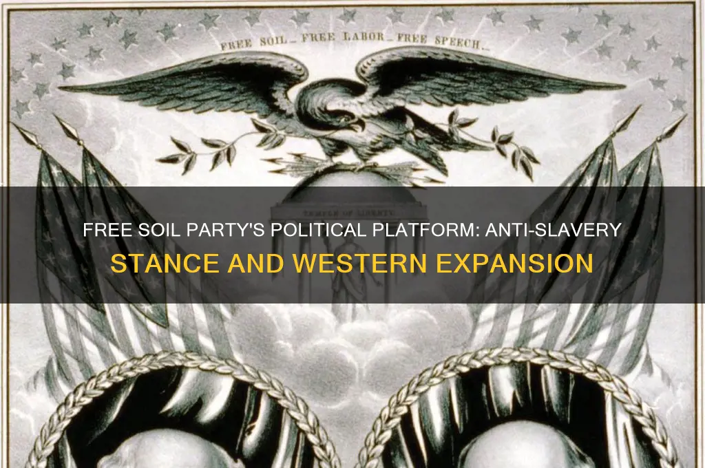 what was the political platform of the free soil party
