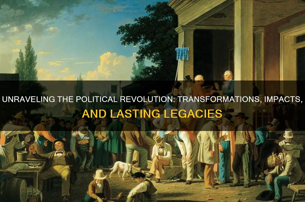 what was the political revolution