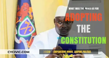 Adopting the Constitution: A Historical Process