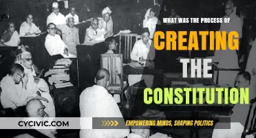 The Constitution's Journey: From Idea to Law