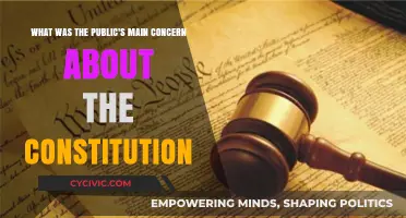 Concerns Over Constitution: Public's Main Fear?
