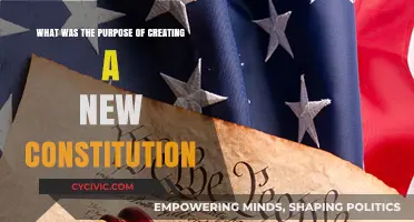 The Constitution: Why a New Framework?