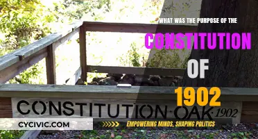 The Purpose of the 1902 Constitution: Shaping Cuba's Future