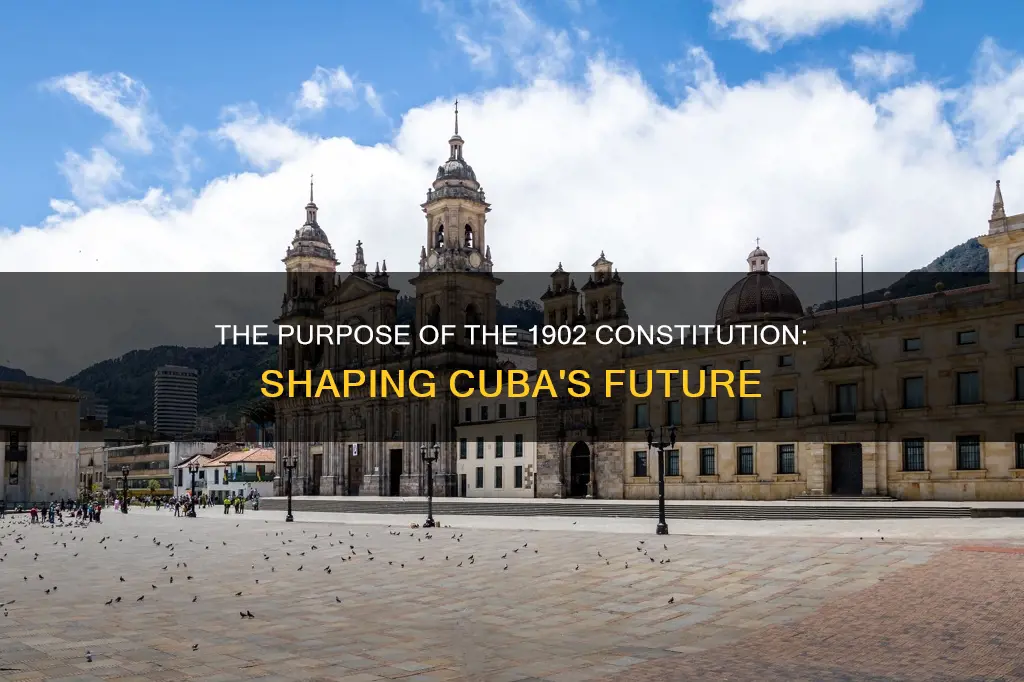what was the purpose of the constitution of 1902