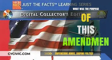 The Purpose Behind Amendments: Understanding Their Intent