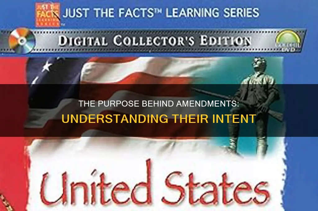 what was the purpose of this amendment