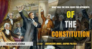 The Real Opposition to the Constitution