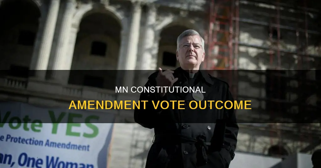 what was the result of the mn constitutional amendment vote