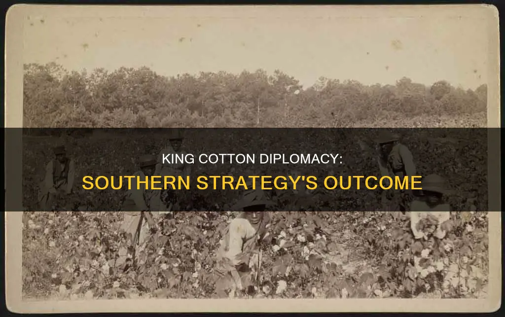 what was the result of the south