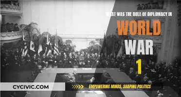 Diplomacy's Role in World War I