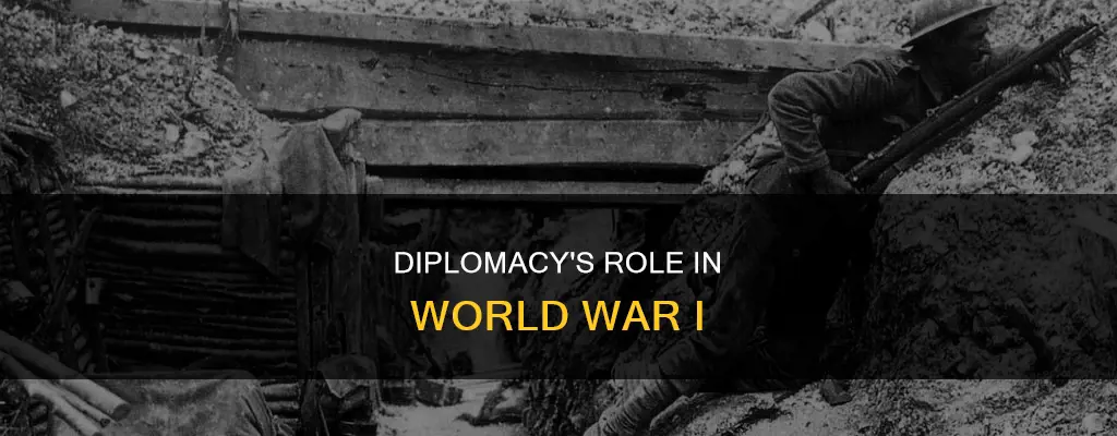 what was the role of diplomacy in world war 1