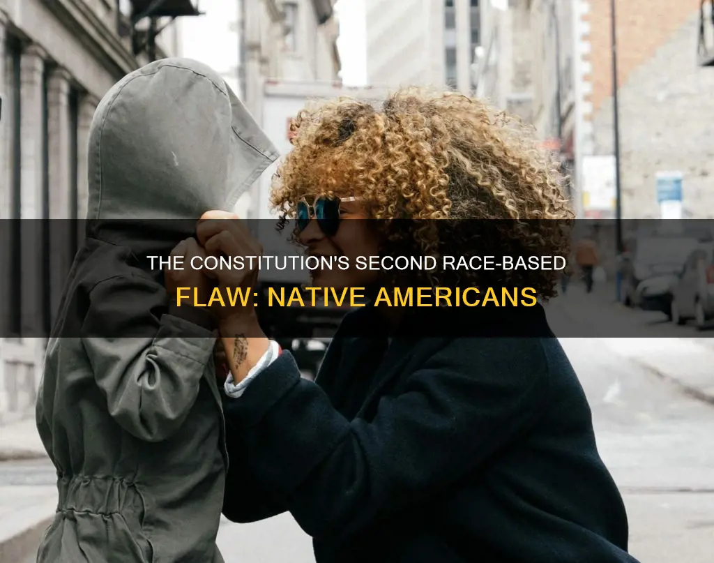 what was the second race-based flaw in the american constitution