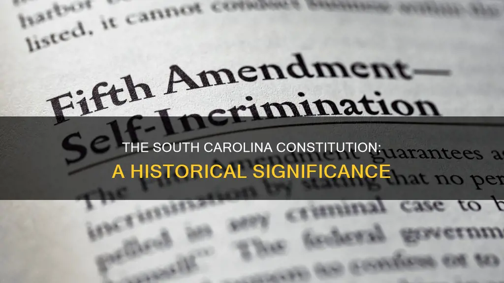 what was the significance of souh carolina constitution
