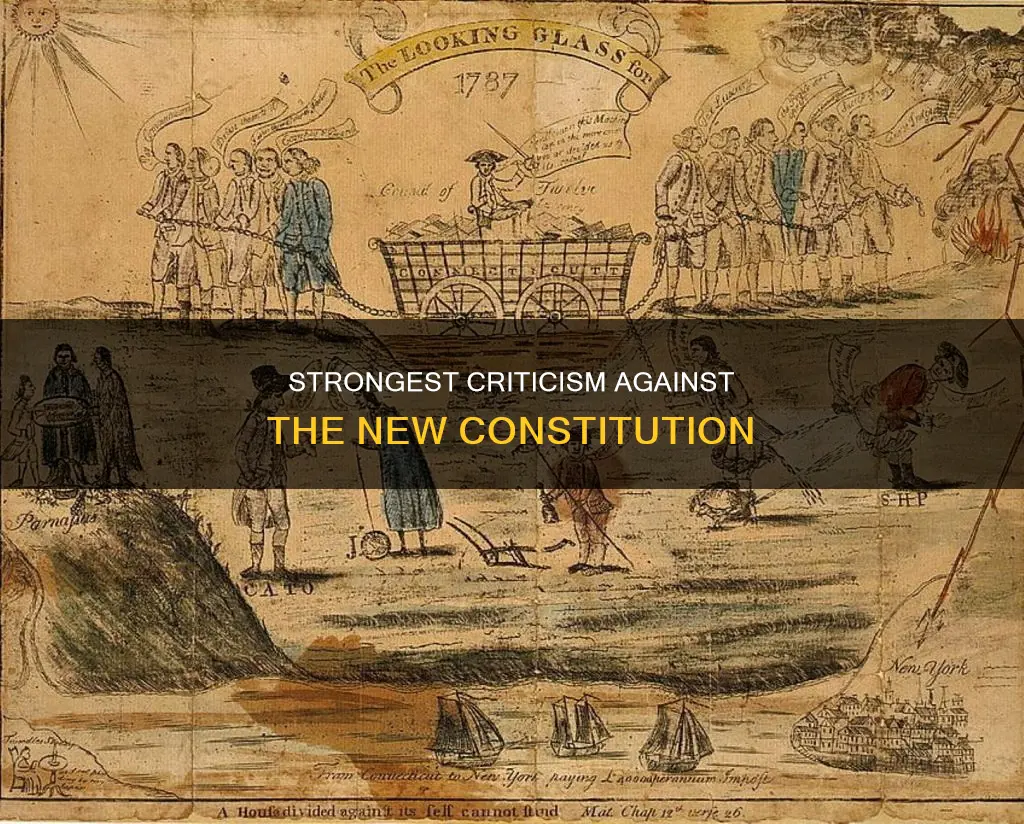 what was the strongest criticism against the new constitution