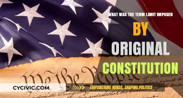 The Presidency: Term Limits in the Original Constitution