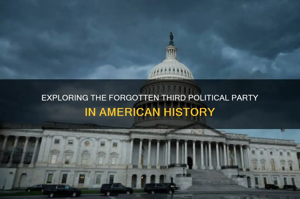 what was the third political party