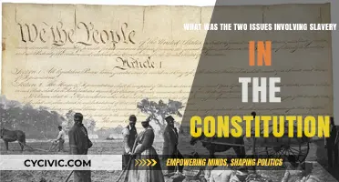 Slavery in the Constitution: Two Issues, One Dark History