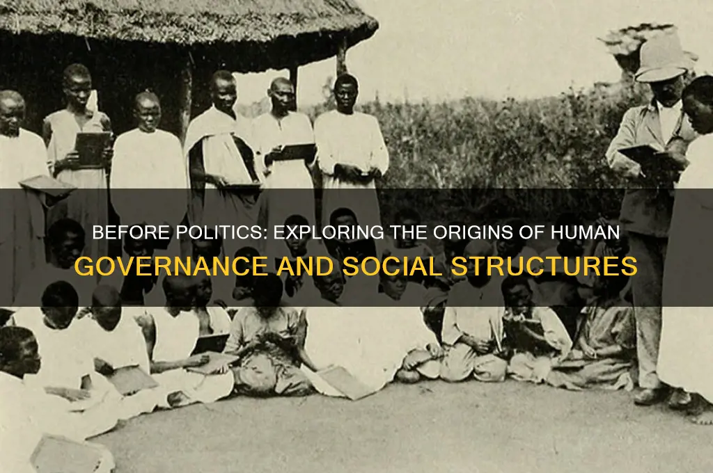 what was there before politics