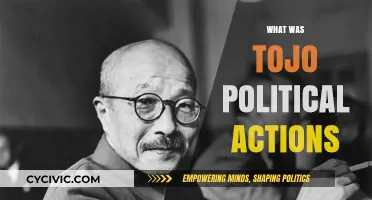 Tojo's Political Actions: Shaping Japan's Wartime Policies and Legacy