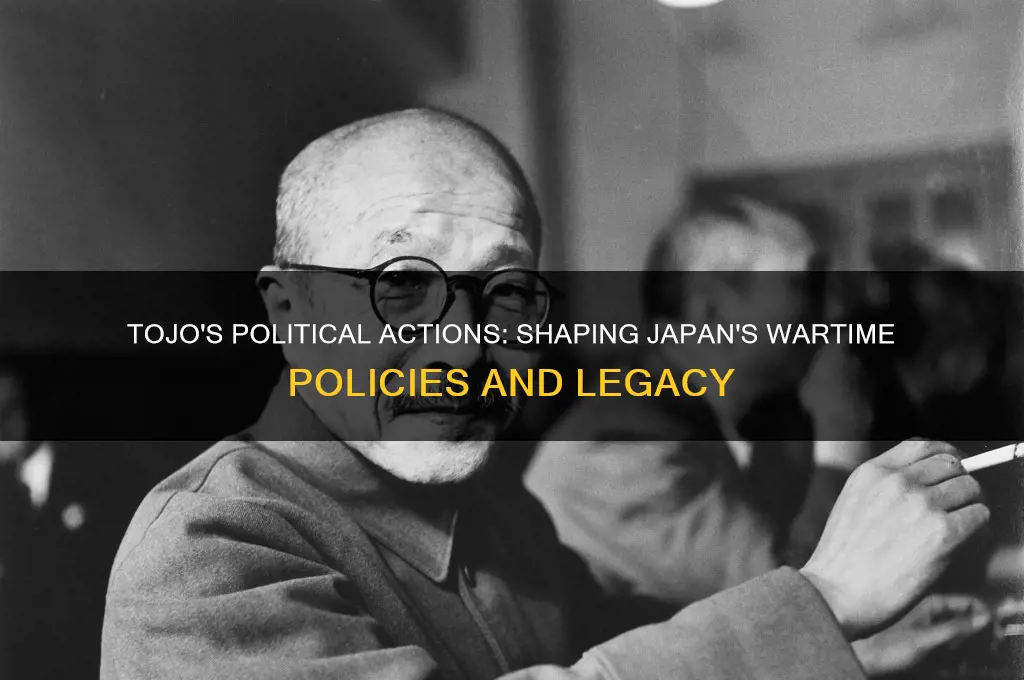 what was tojo political actions