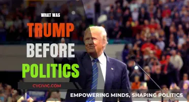 From Boardrooms to Ballots: Donald Trump's Pre-Politics Career Unveiled