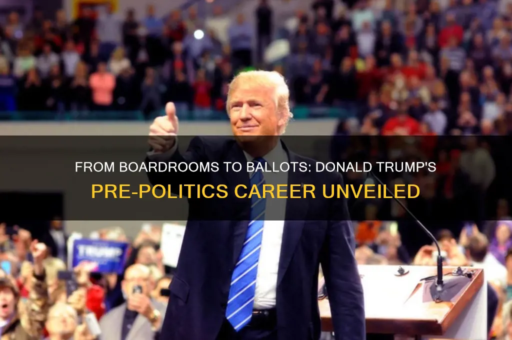 what was trump before politics