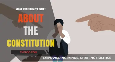 Trump's Tweets: Constitution Chaos and Confusion
