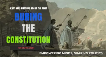 Inequality: The Constitution's Dark Legacy