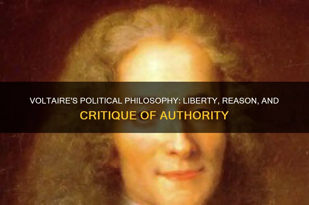 what was voltaire political theory