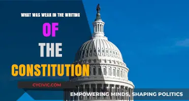 The Constitution: Flaws in the Founding Fathers' Writing