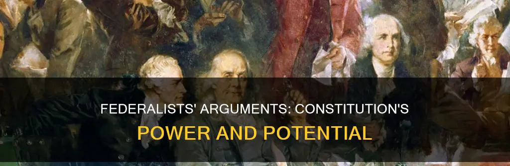 what was written in support of the constitution