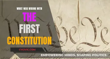 The First Constitution: Flaws and All