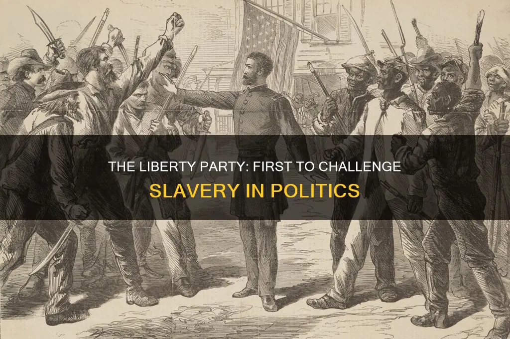 what wasfirst political party to address the issue of slavery