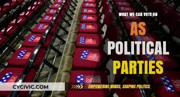 Understanding Political Party Platforms: Key Issues We Can Vote On