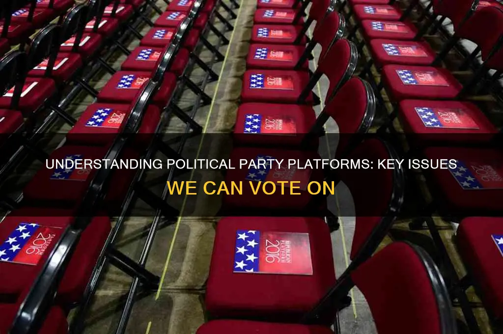 what we can vote on as political parties