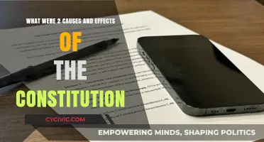 Constitution's Causes and Effects: A Historical Perspective