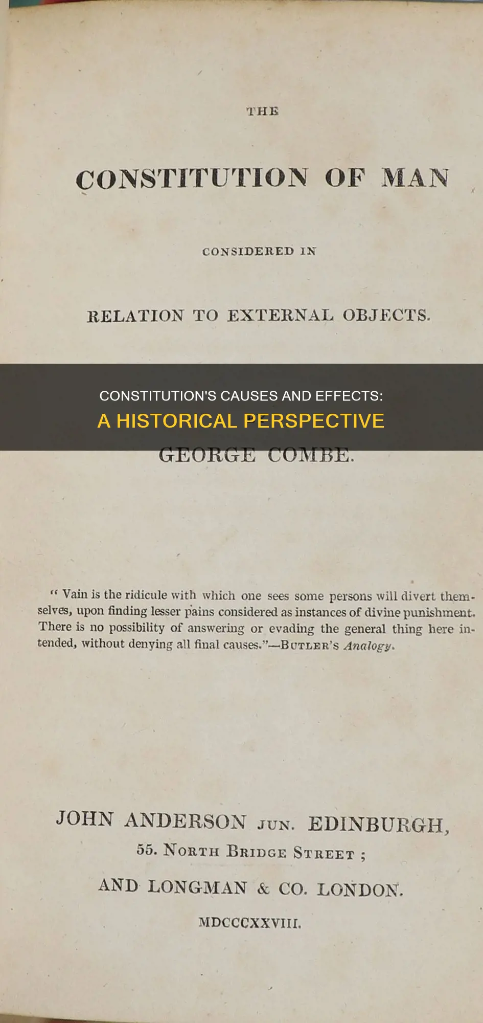 what were 2 causes and effects of the constitution