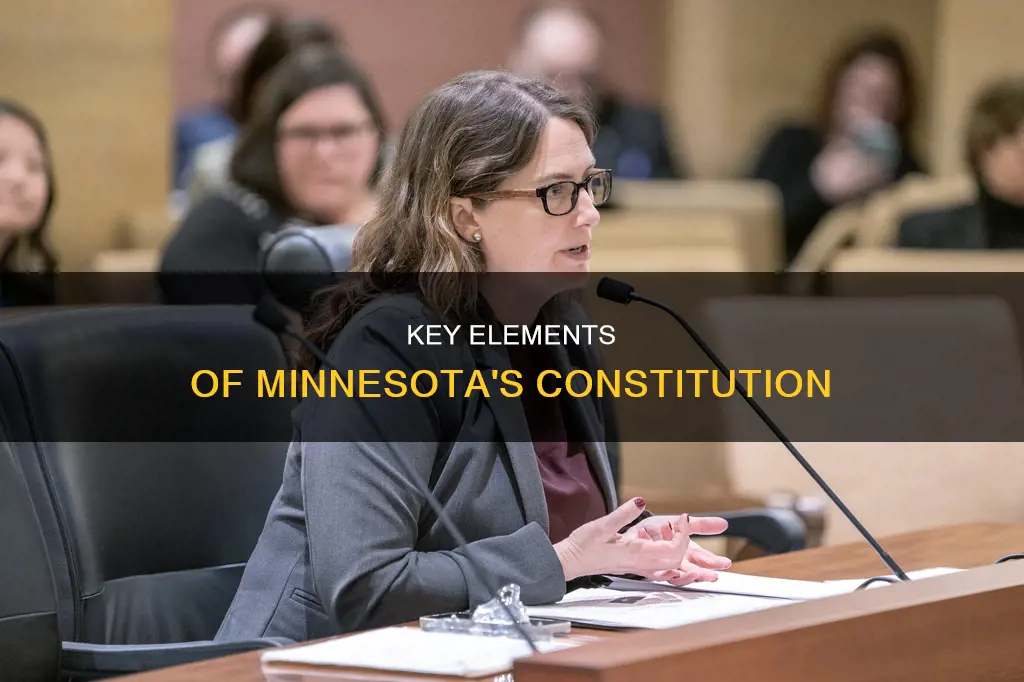 what were 3 things established by minnesota