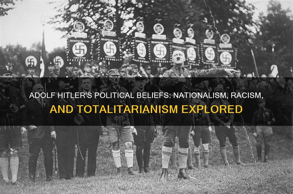 what were adolfs political belifes